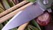 купить Нож Bestech Knives Warwolf BG04B
