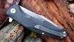 Нож Bestech Knives Warwolf фото
