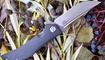 Нож Bestech Knives Scimitar