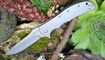 Нож Kershaw Volt II
