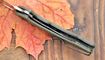 Нож Kizer Roach Mini обзор