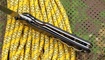 Складной нож Chris Reeve Large Sebenza Marbled Харьков