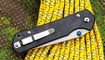 Складной нож Chris Reeve Large Sebenza Marbled Одесса