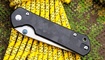 Складной нож Chris Reeve Large Sebenza Marbled Николаев