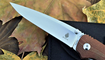Kizer Sliver