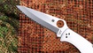 Spyderco Endura 4 C10S Stainless Steel продажа