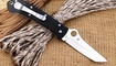 Складной нож Spyderco Lum Tanto C46 купить