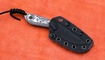 BUDDY Fat Carbon White Storm заказать