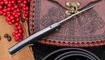 RealSteel Serenity Black G10 7682B купить в Украине