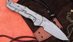 RealSteel Evolution 9911 купить