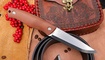 RealSteel Pathfinder Fixed 3851B купить