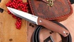 Pathfinder Fixed 3851B