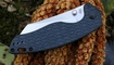 Нож Kizer Towser K V4593C1 цена