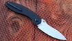 Kizer Doberman V4639C1