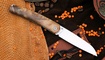 Petrified Fish PF719 V2-Patte купить