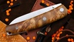 Patte White Burl Wood PF719GAWOS