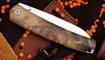Petrified Fish PF719 V2-Patte White Burl Wood заказать