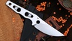 Petrified Fish PFE18 Bison L купить