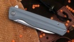 Petrified Fish PF818 Forward Smoke Gray G10 Херсон