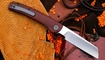 Petrified Fish PFE04 Scholar Cocobolo Wood купить