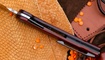 Petrified Fish PFE04 Scholar Cocobolo Wood Киев