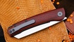 Petrified Fish PFE04 Scholar Cocobolo Wood Одесса