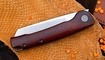 Petrified Fish PFE04 Scholar Cocobolo Wood Умань