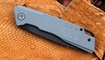 Petrified Fish PFB02 Loco Blue G10 Blackwash Чернигов