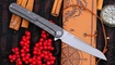 KB Dandy KB247L купить