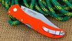 Broken Skull 3 Orange G10 заказать