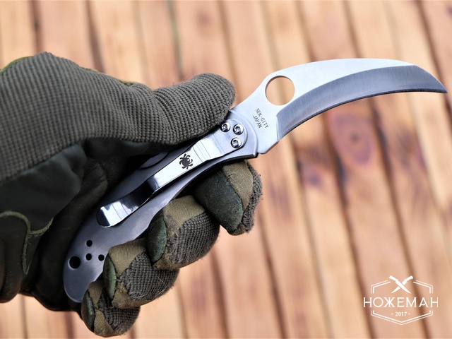 Купить Складной нож Spyderco Harpy C08 в Украине - доставка в Киеве ...