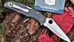 Нож Spyderco Endura 4 Lockback C10P реплика продажа
