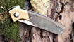 Нож Kizer Grazioso V4572N2 купить в Украине