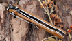 нож Petrified Fish PF713