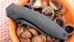 Doberman Ki4639A1