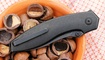 Складной нож Kizer Doberman Ki4639A1 заказать