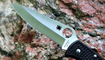 Нож Spyderco Endura 4 C10PBK цена