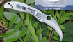 Складной нож Spyderco Harpy C08S Киев