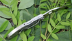 Складной нож Spyderco Harpy C08S купить в Украине