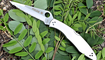 Нож Spyderco Police Full Serrated C07FS Киев