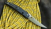 Spyderco Ikuchi C242 купить