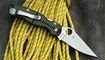 Spyderco Paramilitary 2 MagnaCut Salt купить