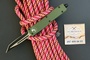 Microtech Troodon Tanto Green