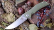 Нож Bestech Knives Scimitar BG05B