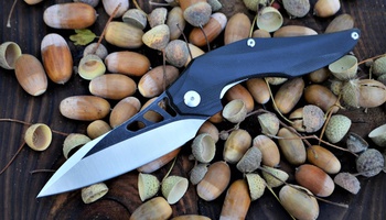 Нож Brous Blades Isham Raven Flipper