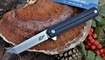 Нож Eafengrow EF65