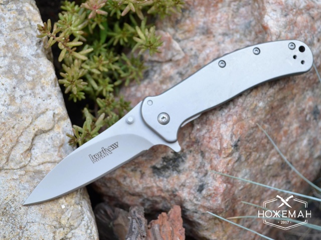 Нож Kershaw 1730SS Zing