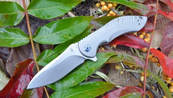 Нож Kizer Alter Ego Ki4492