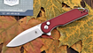 Нож Kizer Assassin V3549C2