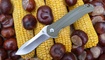 Нож Kizer Bad Dog V3463A2